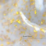 Base Potal Nr.1 12ml